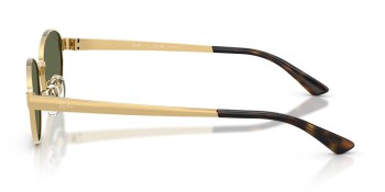 Kính mát RAY-BAN 3774D 001/9A 55