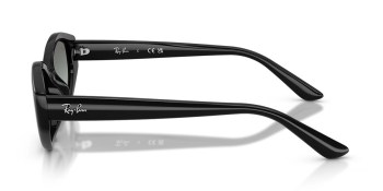 Kính mát RAY-BAN 4473D 667711 56