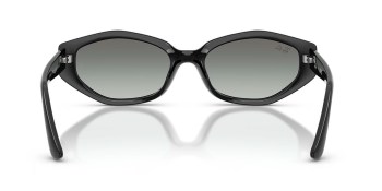 Kính mát RAY-BAN 4473D 667711 56