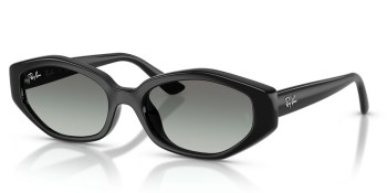 Kính mát RAY-BAN 4473D 667711 56