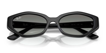 Kính mát RAY-BAN 4473D 667711 56