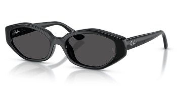 Kính mát RAY-BAN 4473D 667787 56