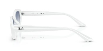 Kính mát RAY-BAN 4473D 677219 56