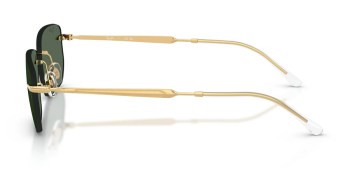 Kính mát RAY-BAN 3768 001/71 56