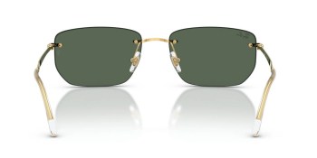 Kính mát RAY-BAN 3768 001/71 56