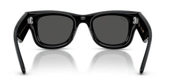 Kính mát RAY-BAN 4940B 686487 47