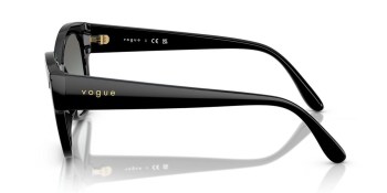 Kính mát VOGUE 5638SU W44/11 55