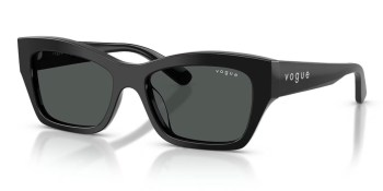 Kính mát VOGUE 5658SU W44/87 53