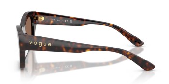 Kính mát VOGUE 5658SU W65673 53