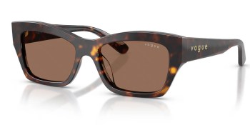 Kính mát VOGUE 5658SU W65673 53