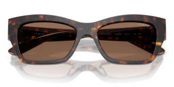 Kính mát VOGUE 5658SU W65673 53