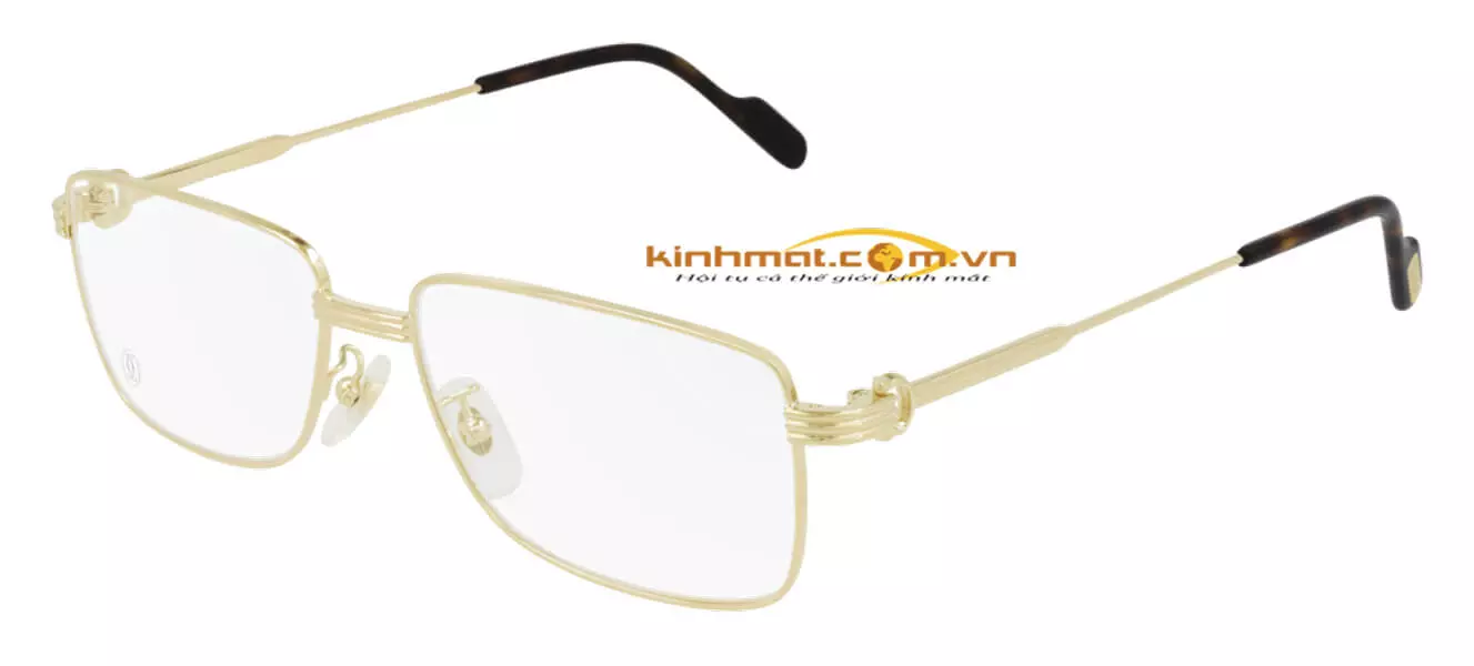 Gọng kính Cartier CT0294OA 002