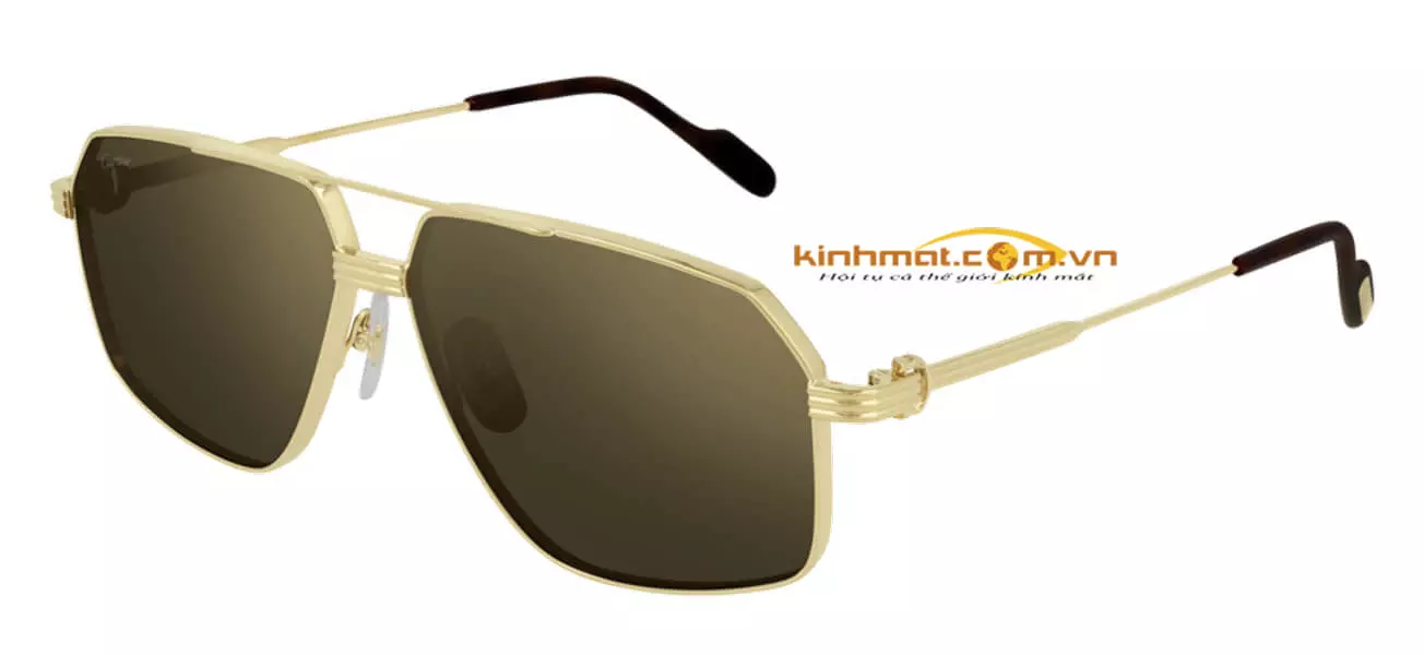 Kính mát Cartier CT0270S 002