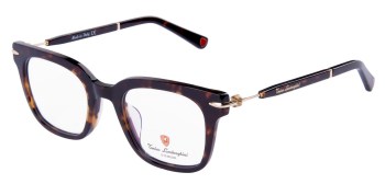 Gong-kinh-Tonino-Lamborghini-TL08853.jpg