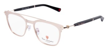 Gong-kinh-Tonino-Lamborghini-TL08954.jpg